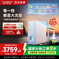 AO史密斯佳尼特加热净水器加热直饮一体机 家用厨下反渗透直饮水机净水机过滤器 CDR1600S1[蓝鲸上新]