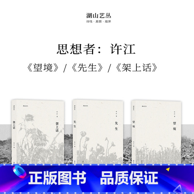 望境+先生+架上话全3册 许江特辑 [正版]望境+先生+架上话全3册 中国美术学院第十二任院长许江著 想考中国美院从这三