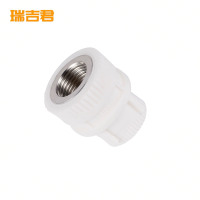 瑞吉君 PPR内丝直接 20mm 个