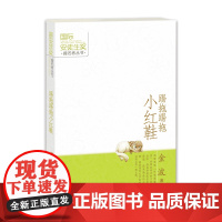 国际安徒生奖提名者丛书 踢拖踢拖小红鞋