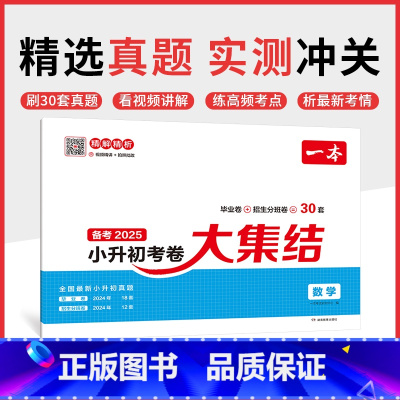 数学 小学升初中 [正版]25新小升初总复习分类试卷 小学毕业升学考卷大集结 语文数学英语小升初真题试卷小学毕业升学考试