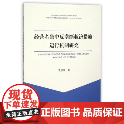 经营者集中反垄断救济措施运行机制研究