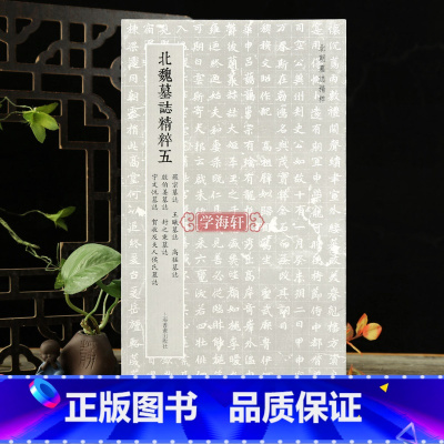 北魏墓志精粹五 [正版]学海轩 北魏墓志五 罗宗墓志王曦墓志高猛墓志殷伯姜墓志封之秉墓志宇文悦墓志贺收及夫人侯氏墓志魏碑