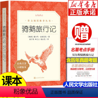 [正版]骑鹅旅行记六年级下册 人民文学出版社 高子英译原著完整版 四五六年级快乐读书吧下册全套 小学课外阅读书籍 尼