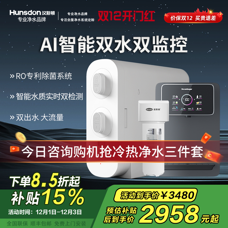 汉斯顿/Hunsdon[国家补贴]净水器家用厨下式净水机家用直饮净水器C2净水器家用无桶双水大流量过滤器净水器