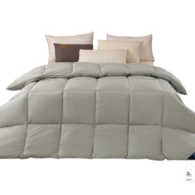 安居先森经典风尚羽绒纤维被冬被单人150*200cm 1900g D2086(条)