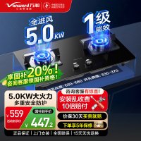 万和天然气燃气灶 双眼灶台嵌两用 灶具 5.0kW大火力 全进风钢化玻璃一级能效JZT-B7L51(天然气)