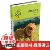 雄狮去流浪 升级版 动物小说大王沈石溪品藏书系 小学三四五六年级课外阅读书籍动物小说 浙江少年儿童出版社