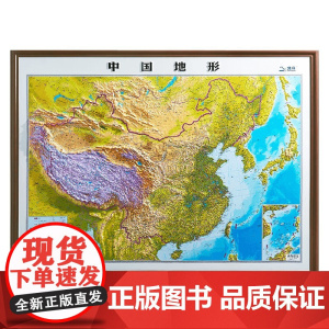 1米1凹凸地图 中国地形 北斗 著 地图