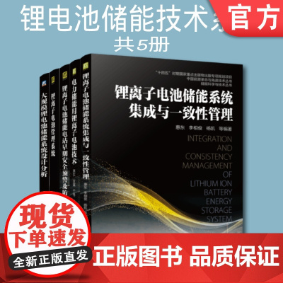 套装 正版 锂离子电池储能技术系列 共5册 系统集成与一致性管理 电力 电站早期安全预警及防护 管理系统 大规模系统
