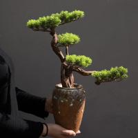 美帮汇中式仿真盆景迎客松绿植物客厅酒店家居玄关装饰品样板间软装摆件