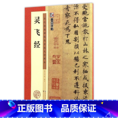 [正版]灵飞经(历代经典碑帖高清放大对照本)