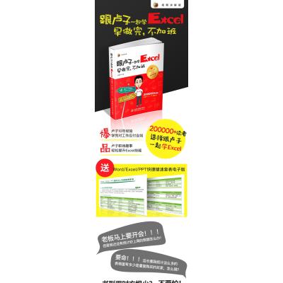 跟卢子一起学Excel:早做完不加班(视频讲解版)