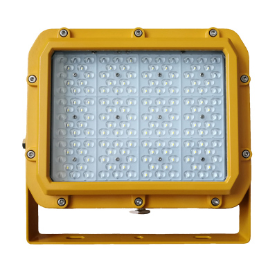 光大特照 EBF602(L)-100 100W 220V 6000K 防爆平台灯 (计价单位:盏) 黄色