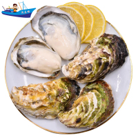 [活鲜]沈志雄船长 刺身生蚝海蛎东山岛牡蛎 冷水蚝 刺身生蚝2.5kg (约35-42个) 顺丰空运