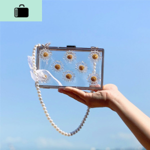 2020夏季新款小雏菊透明包珍珠链条亚克力包仙女蕾丝包网红腋下包NEW LAKE 透明小雏菊女士单肩包 透明小雏菊