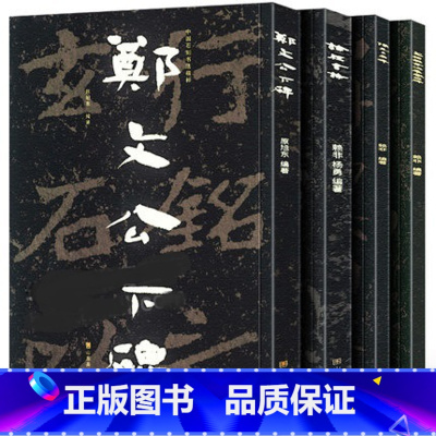 [正版] 中国石刻书法精粹 论经书诗 赖非 杨勇 著 书法爱好者山东北朝佛教崖石刻书法榜书作品隶书楷书篆刻艺术书法碑帖临