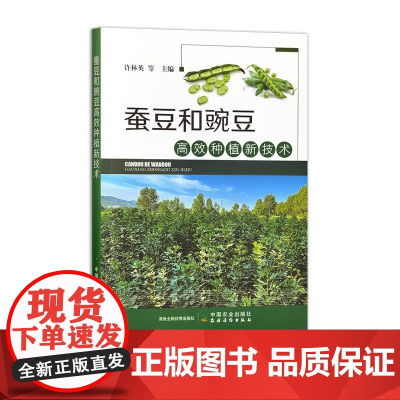 蚕豆和豌豆高效种植新技术