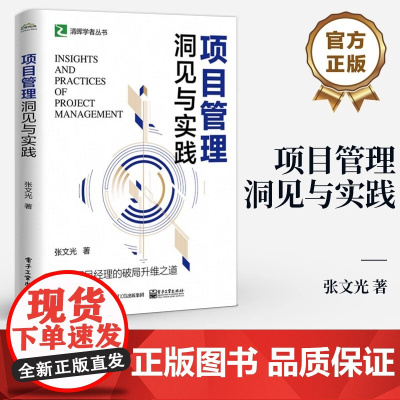 项目管理洞见与实践 张文光 卓越项目经理的破局升维之道 洞察人性组织团队管理 项目组织高效沟通 项目管理逻辑书籍