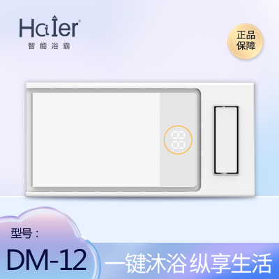 HCIIER 智能电器 (DM-12)风暖风浴霸灯集成吊顶嵌入式智能浴室暖风机取暖器