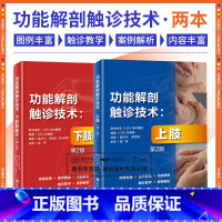 [正版]功能解剖触诊技术上肢+下肢和躯干第2版 2本套装 林典雄 北京科学技术出版社 四肢体格检查超声解剖图谱 全书以