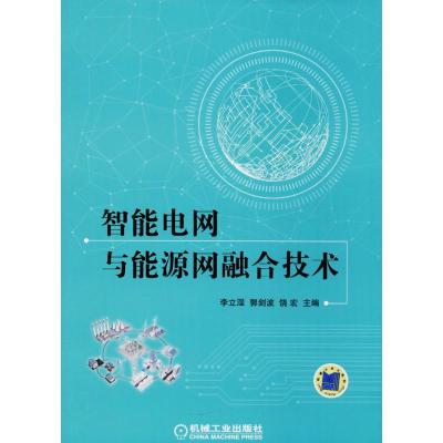 智能电网与能源网融合技术