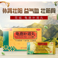 [2盒装]白云山 龟鹿补肾丸 4.5g*12袋/盒补肾壮阳 益气血 壮筋骨 用于肾阳虚所致的身体虚弱 精神疲乏 腰腿痠软