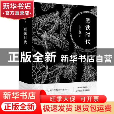 正版 黑铁时代 王小波 北京十月文艺 9787530218518 书籍