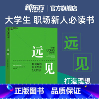 远见 [正版]新东方远见 规划职业生涯3大阶段 职场远见书 用远见思维规划职业生涯 职场励志 奥美互动执行官30余年的职