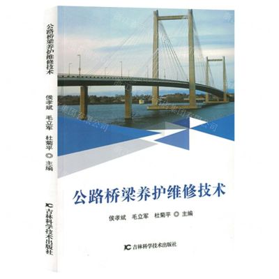 [N]公路桥梁养护维修技术-9787557894047
