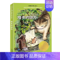 塔克的郊外 [正版]爱德华的奇妙之旅纽伯瑞国际大奖儿童文学小说系列全套集升级版小学生三四五六年级课外阅读经典书籍新蕾出版