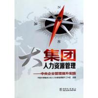 正版新书]大集团人力资源管理--中央企业管理提升实践武洪举9787