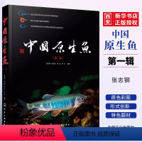 [正版]中国原生鱼 第一辑 化学工业出版社 观赏鱼原生观赏鱼图鉴书淡水鱼类溪流冷水鱼观赏鱼 鱼类科普书海洋生物知识书籍