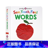 [正版]触觉视觉嗅觉感官认知单词触摸书 英文原版绘本 See Touch Feel Words 纸板书 幼儿早教英语启
