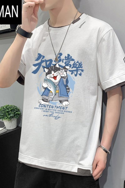 HLCOMAN潮流短袖冰丝t恤学生夏季新款男士宽松国潮男生体恤夏装衣服