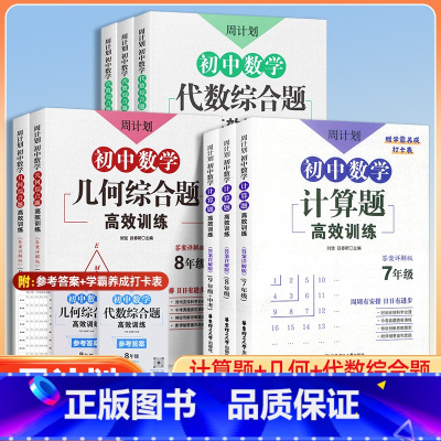 [全套3本]计算题+几何+代数 八年级/初中二年级 [正版]周计划初中数学计算几何代数综合题训练七八九年级上下全一册初中