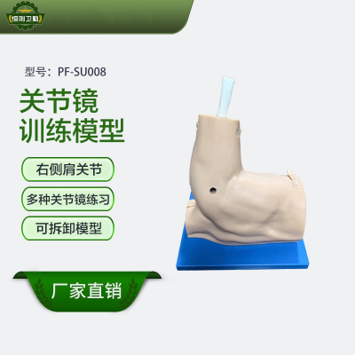 恒则卫勤 关节镜训练模型 PF-SU008 右侧肩关节 多种关节镜练习 可拆卸