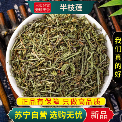 甄选新货半枝莲100克干货官方店半枝连韩信草正品另售白花蛇舌草铁树叶