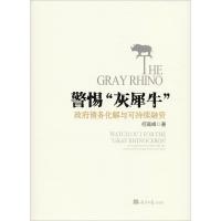 正版新书]警惕"灰犀牛" 政府债务化解与可持续融资何高峰9787519