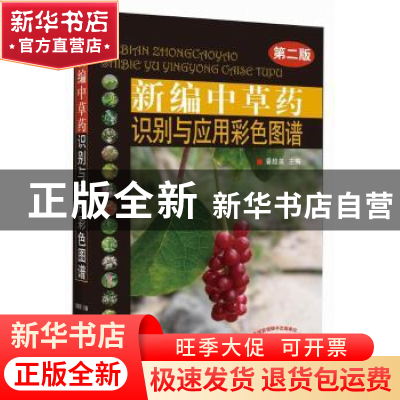 正版 新编中草药识别与应用彩色图谱 潘超美主编 中国中医药出版