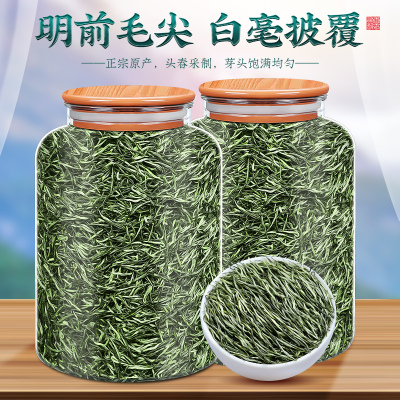 2025新茶毛尖茶叶信阳原产明前特级嫩芽浓香型绿茶散装毛峰茶