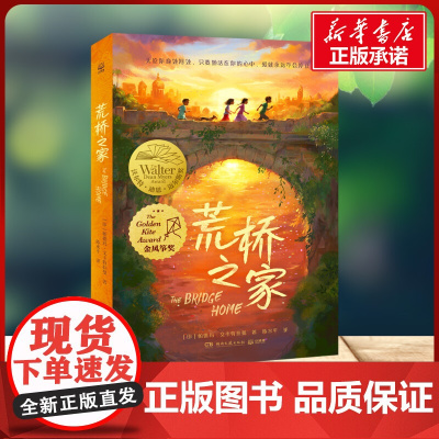 荒桥之家 帕德玛·文卡特拉曼 著 陈水平 译湖南文艺出版社 儿童文学小学生一年级二年级三年级课外书正版寒假暑假阅读