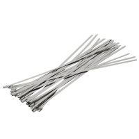 万梓 不锈钢扎带 7.9*600mm 根