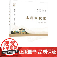 正版 水利现代化 9787307238077 武汉大学出版社 洪林,李小平 编著
