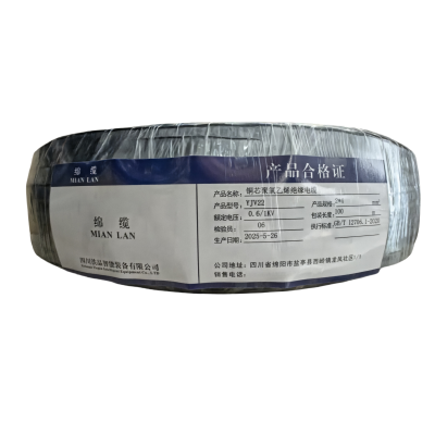 绵缆 铜芯聚氯乙烯绝缘电缆 YJV22-0.6/1kV-2*4 米