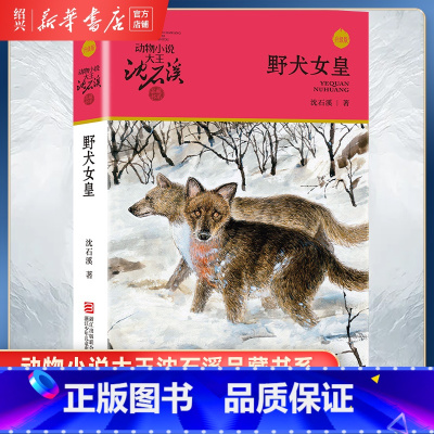 野犬女皇 [正版]书店野犬女皇 升级版 动物小说大王沈石溪品藏书系 小学三四五六年级课外阅读书籍动物小说 浙江少年儿童出