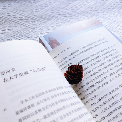 见识世界:全球化时代美国大学的跨学科研究