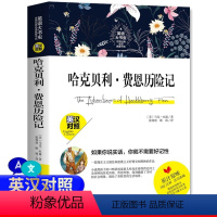 [正版]哈克贝利费恩历险记英文版 英汉对照 中文译本英文原版 双语阅读 英语大书虫世界名译典藏书系哈克贝利费恩历险记
