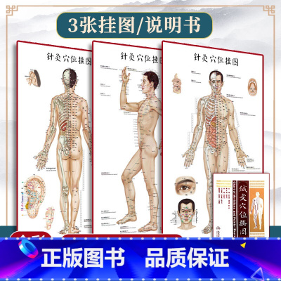 董氏奇穴与经穴对照大挂图 [正版]1m*0.5m3张 针灸穴位挂图全彩彩图版 正面侧面背面三张全开本耳穴足穴 靳士英人体