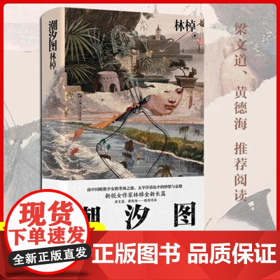 正版 潮汐图 林棹豆瓣年度作者 梁文道黄德海 当代文学精装 上海文艺出版社长篇小说 另著流溪 小说散文书籍上海文艺